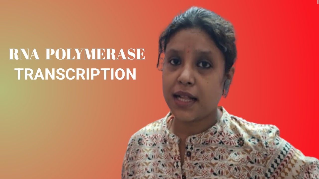 RNA POLYMERASE//TRANSCRIPTION