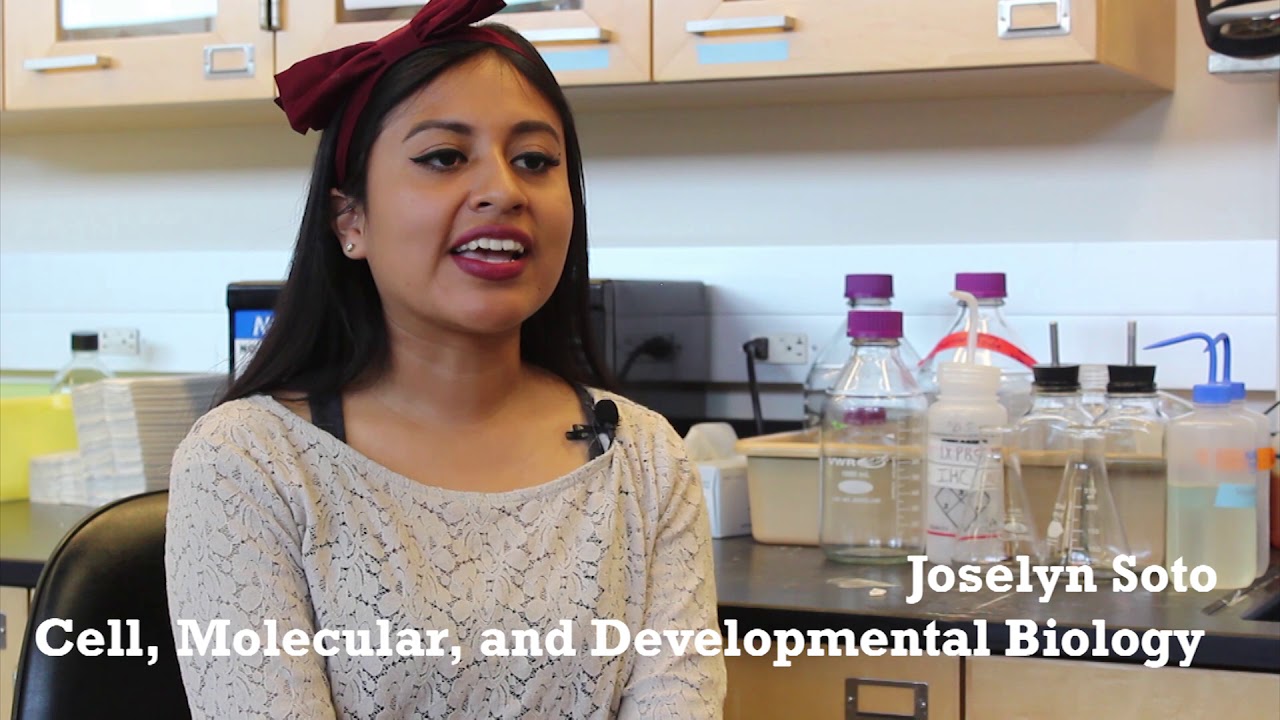 UCR Undergraduate Research: Students in CNAS Research