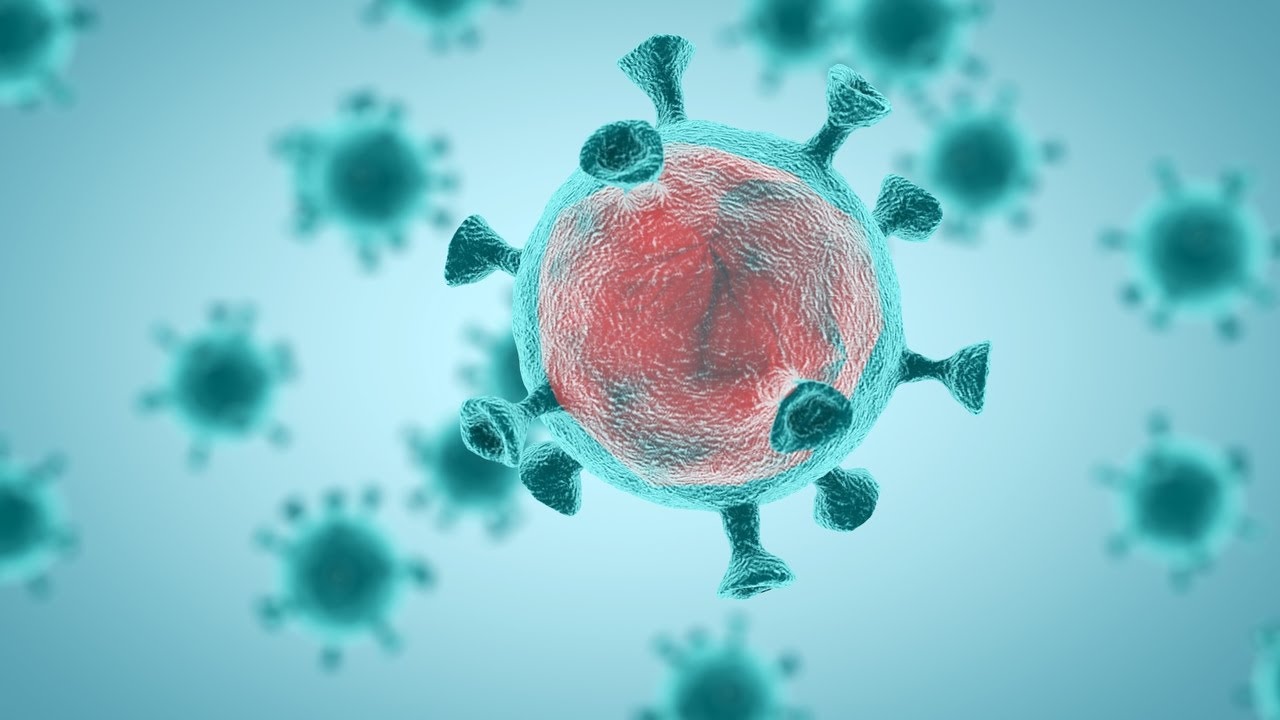 Researchers find evidence of coronavirus epidemic 20,000 years ago