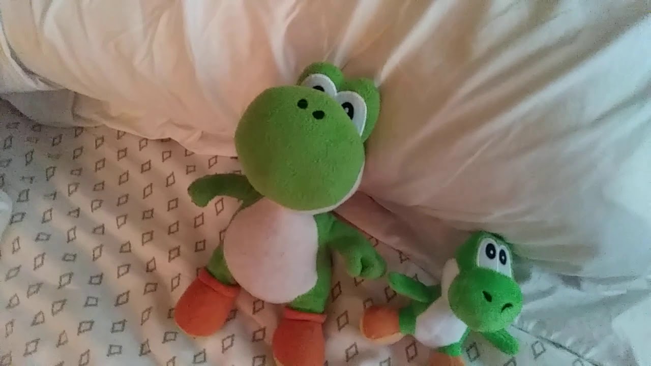 Yoshi's Baby