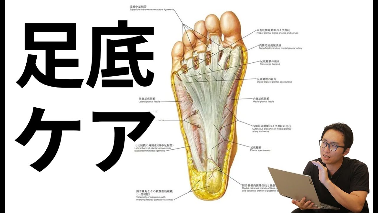 【バレエ】デイリーケアで見落とさないで！足底筋膜