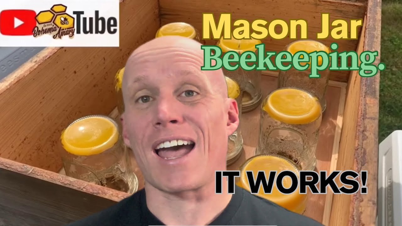 Can You Really Harvest Honey in Mason Jars? (Reacting to This Genius Idea)