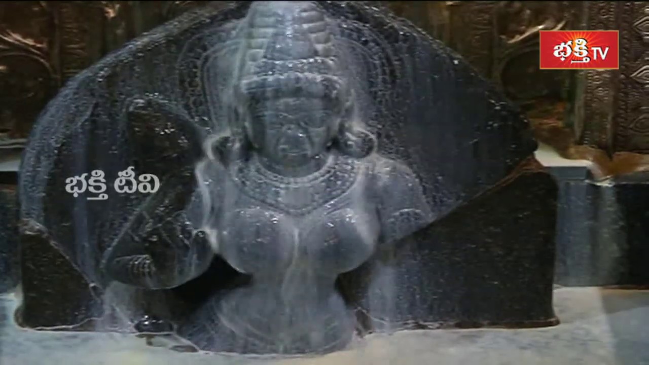 పాలతో శ్రావణ శుక్రవారం అభిషేకం | Kanaka Maha Lakshmi Temple | Bhakthi TV
