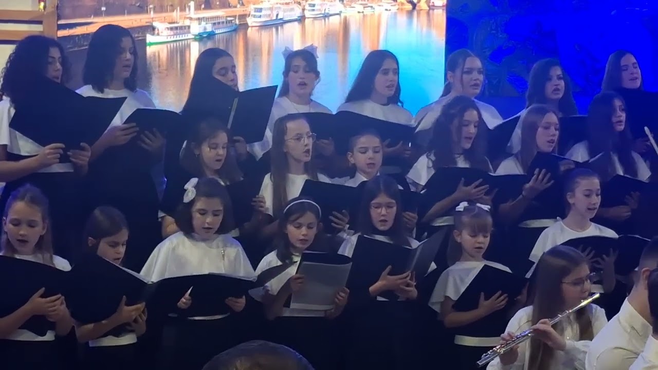 Seus le ciel de Paris, Amadeus Prishtina