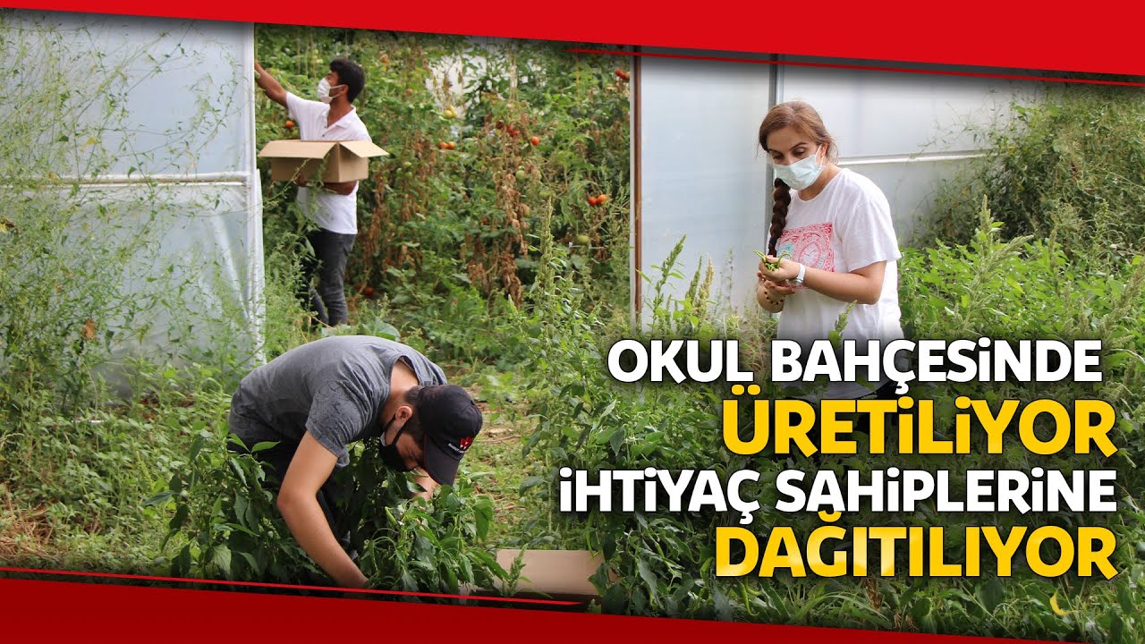 Okul Bahçesinde Yetiştirip İhtiyaç Sahiplerine Ulaştırıyorlar