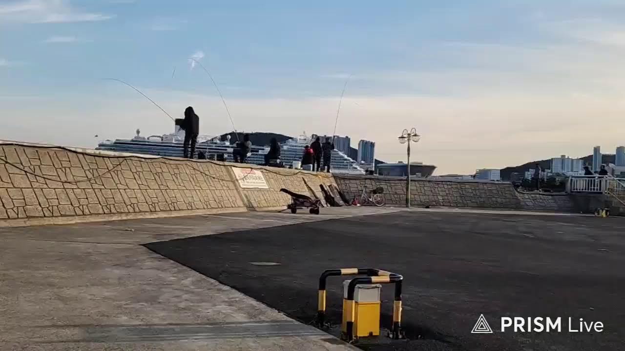 그래도 간다 라이브 방송