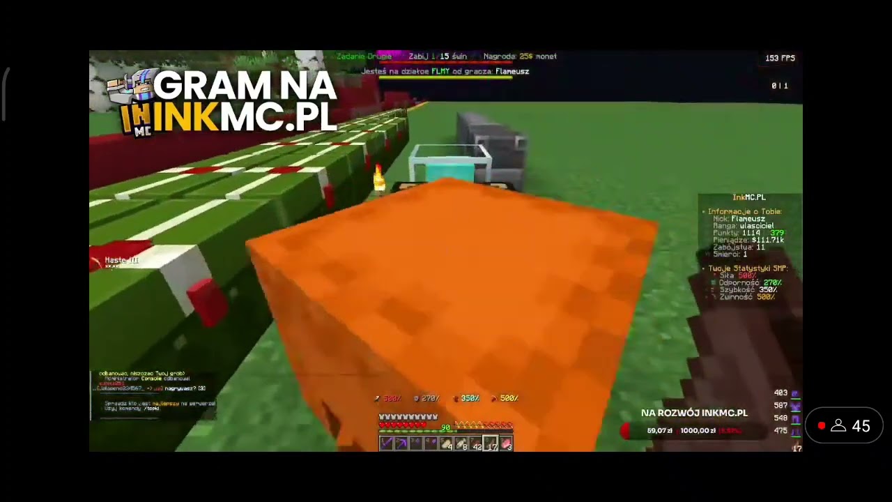 Flameusz m&oacute;wi czy będzie grał na anarchii smp