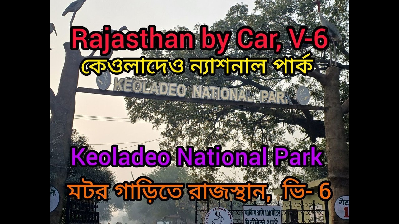 Rajasthan by Car, V- 6 II মোটর গাড়িতে রাজস্থান, ভি- ৬ / ভরতপুর পাখিরালয়