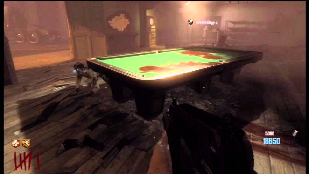 Black Ops 2 - Tranzit Easter Egg - Richtofen - Two Players