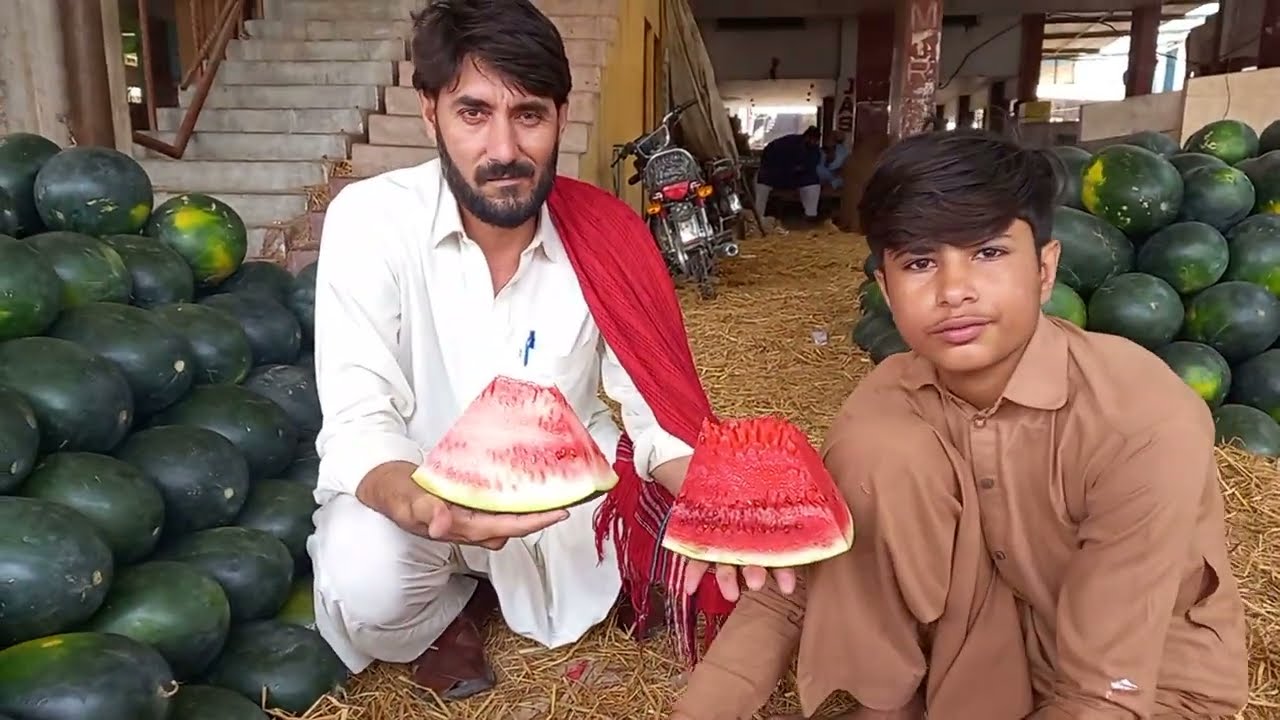 how to identify red and sweet watermelon  |surakh or methe tarbooz ki pehchan ka tareeqa