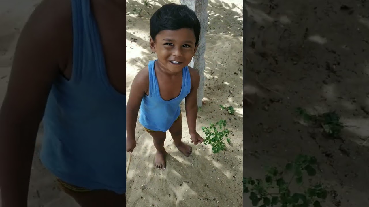 இலை பாவம்மா....