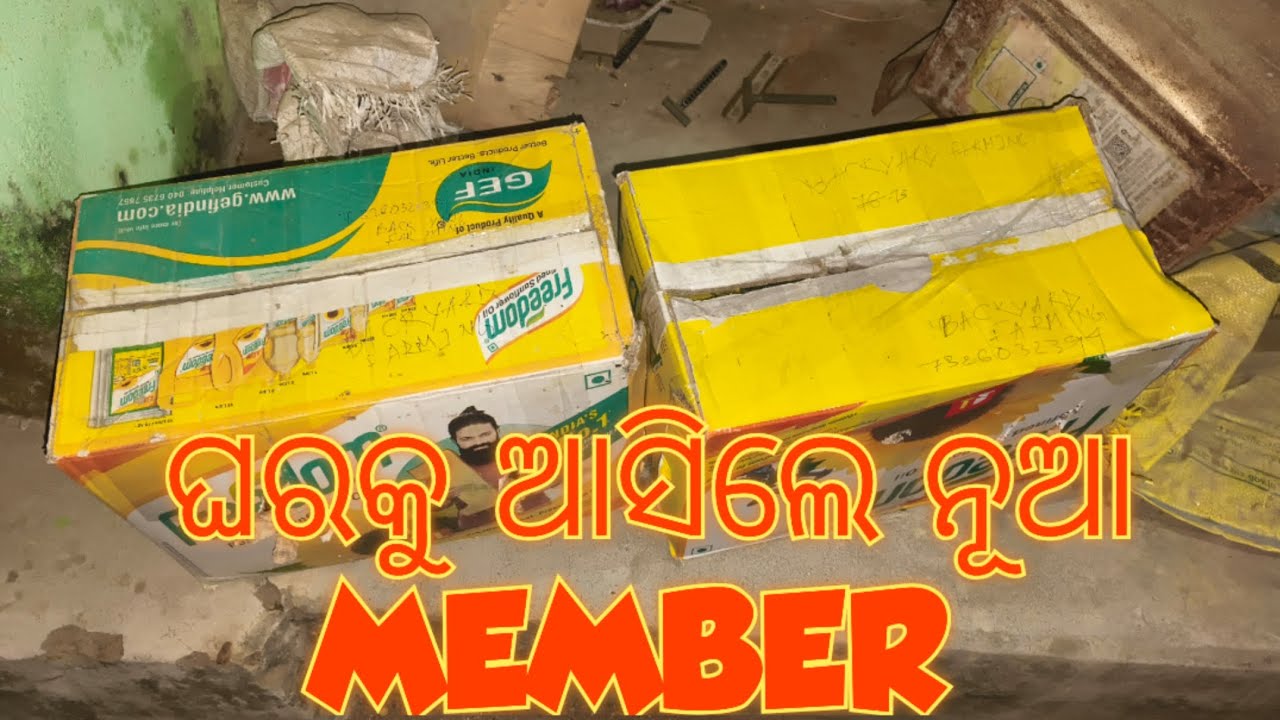 New member in @Backyard_farming-99 #foryou #aseel #viral #youtube #angul #odisha #exotic #video 