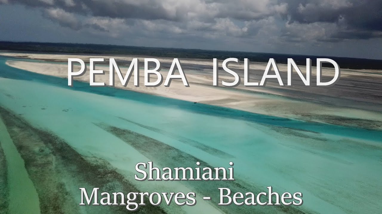 Pemba 🏝 Zanzibar : Amazing Drone Beach Scenery between Crystal Blue Water, Sandbanks & Mangroves