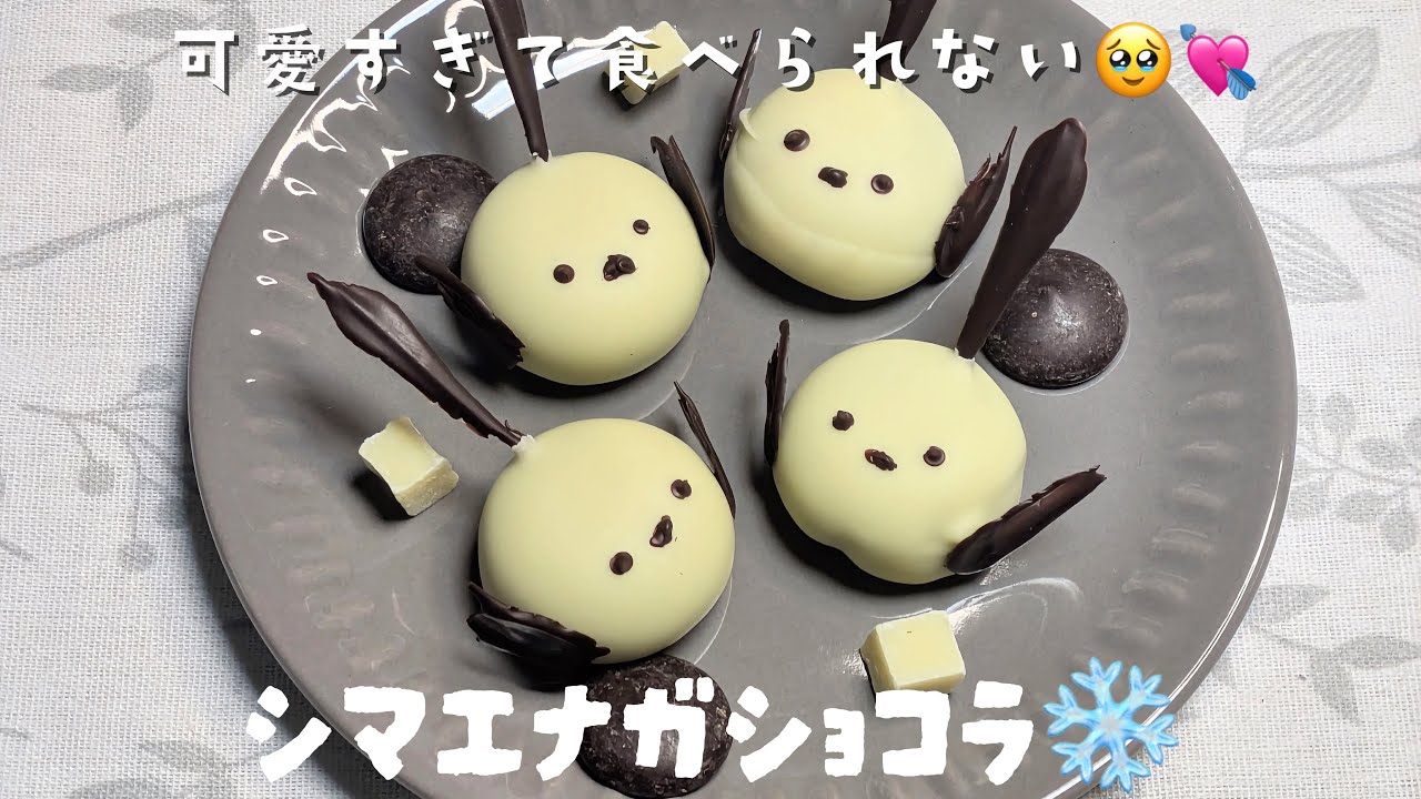 【レシピ】バレンタインに優勝🍫パティシエが作るシマエナガショコラ❄️