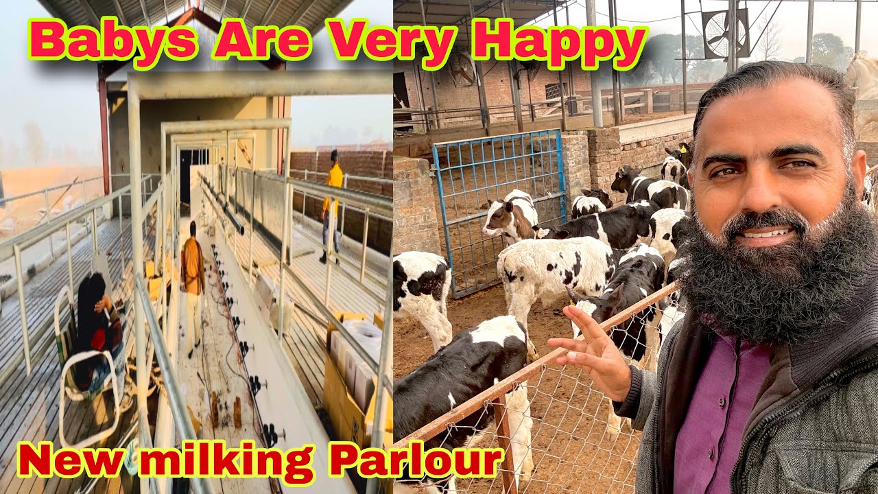 Alhamdulillah Sarah Bachay Bahir Aaker Brray Khush Hain And Milk Parker New