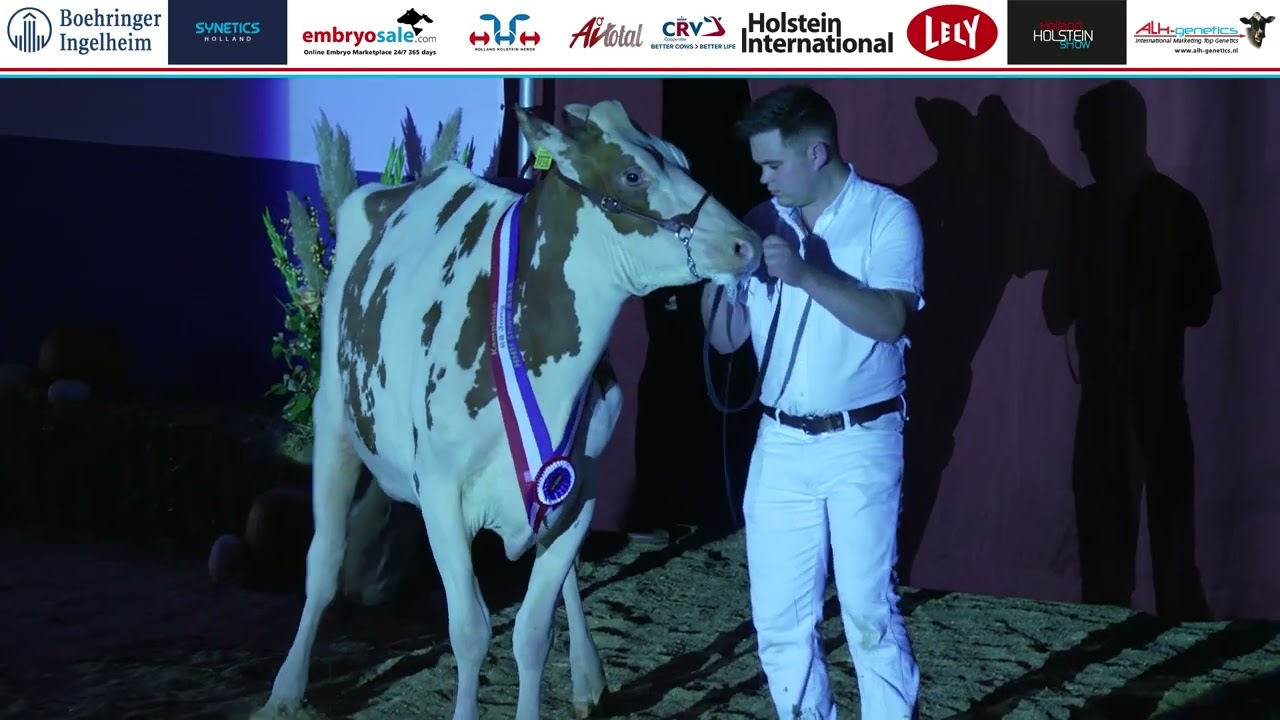 Defile en Algemeen Kampioen zwartbont en roodbont | 15 November 2025