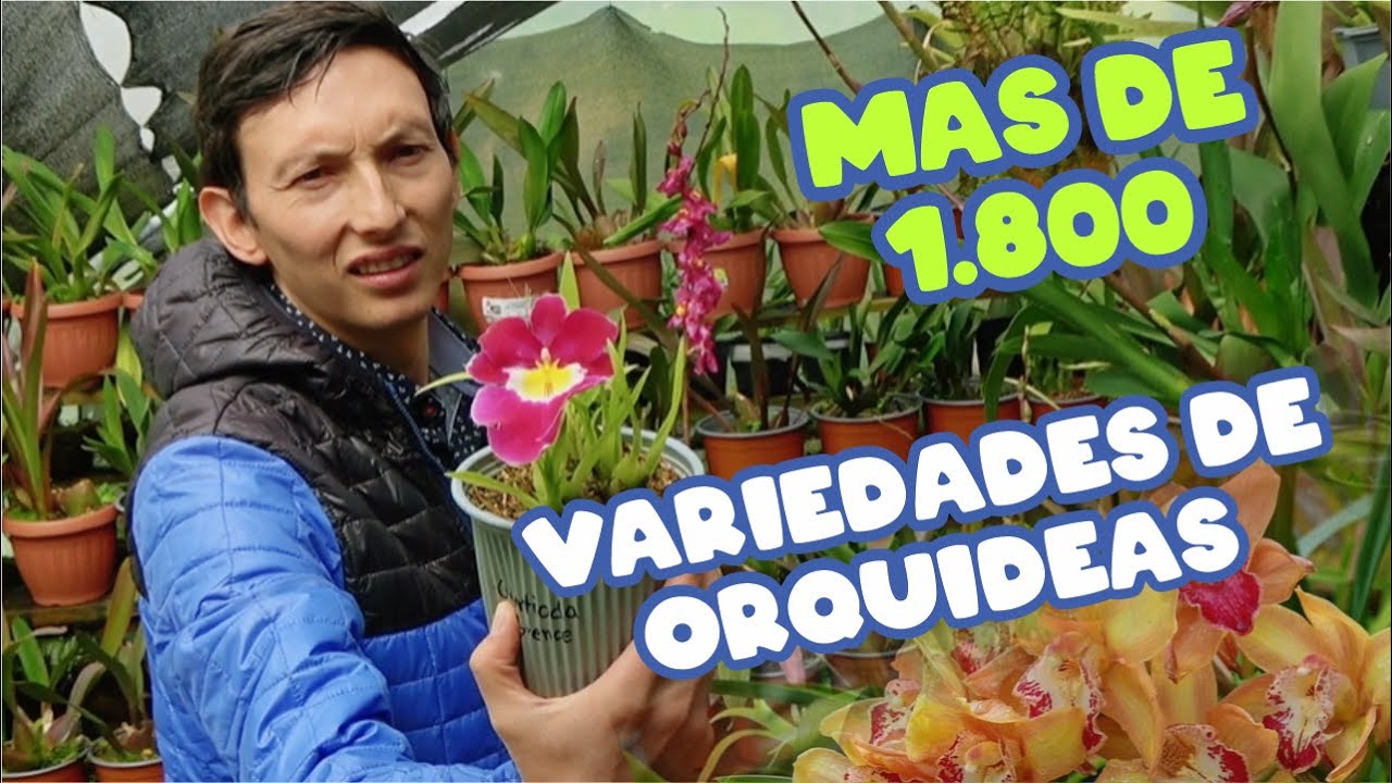 1800 Variedades de Orquídeas en Huaca, Ecuador | YeiGuerraM