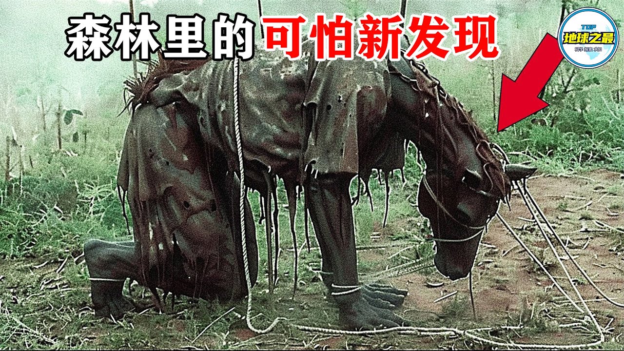 震撼影像全美疯转！德州丛林捕捉到的怪物究竟是什么？20个森林中的惊人发现，天黑千万别进林子！丨地球之最#冷知识 #排名 #世界之最#地球之最top#世界之最top#top10#top20#丛林怪物