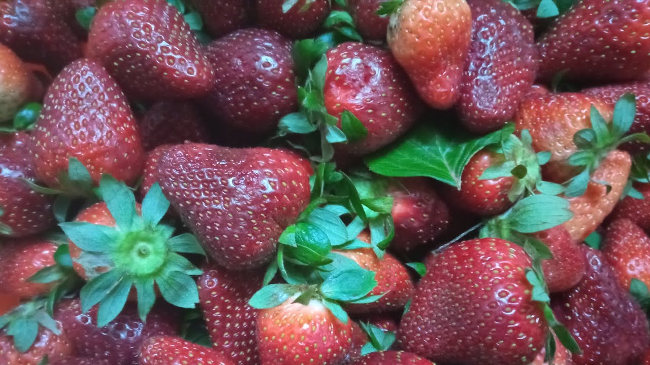 الطريقة الصحيحة لتخزين الفراولة ومحتفظة بلونها من السنة للسنة🍓🍓