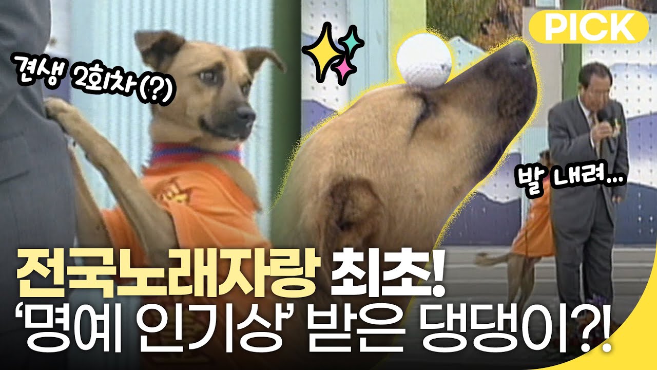 [🏅100만][전국노래자랑 레전드] 최초! '명예 인기상' 받은 견생 2회차 댕댕이! | 재미 PICK | KBS 전국노래자랑 스페셜 2020.04.19(일)