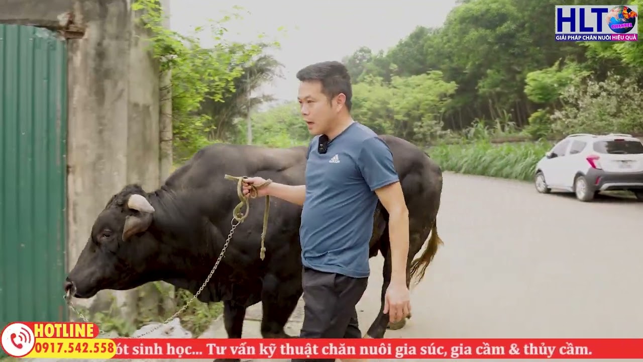 HLT FARM VỪA NHẬP THÊM EM 3B F2 NÀY CÁC BÁC Ạ!