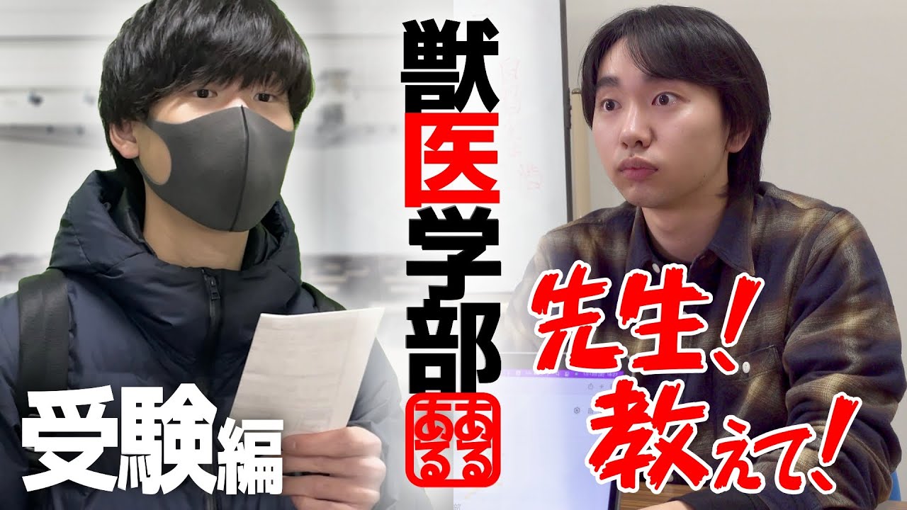 【獣医学部あるある】高校の先生は ” 獣医学部受験 ” について何も知りません。