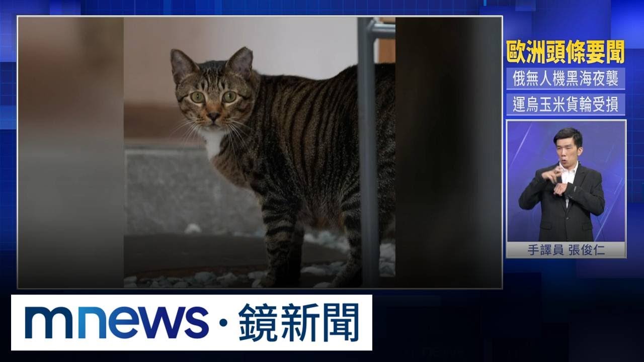 高雄網美咖啡無預警歇業　約10員工遭欠薪｜#鏡新聞