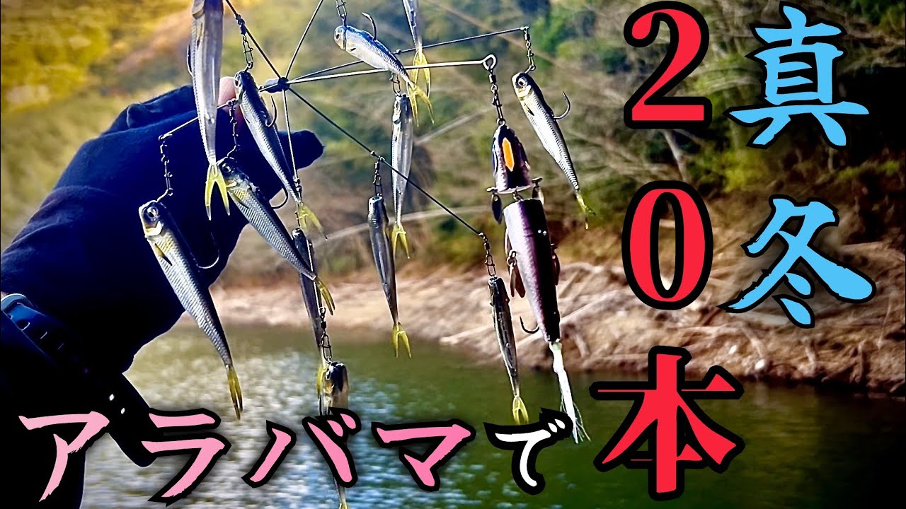 【バス釣り】真冬にアラバマで20本超え!!コレ何が起こってんだ！！？