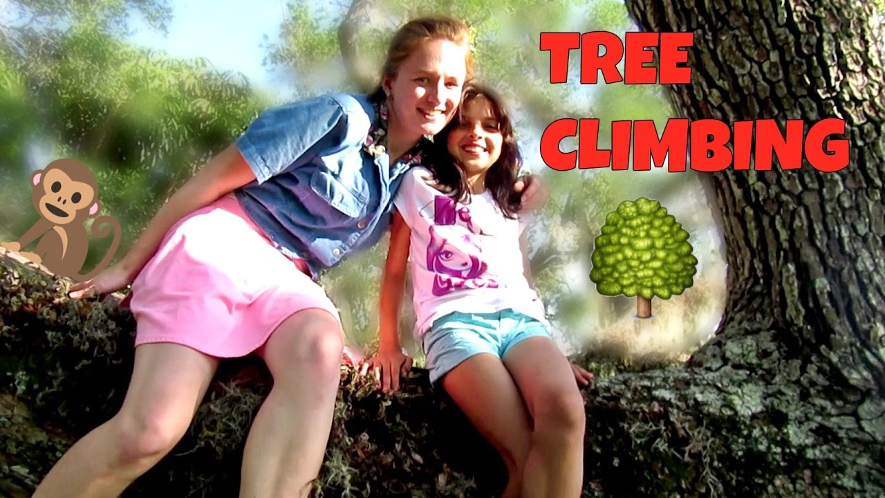 TREE CLIMBING