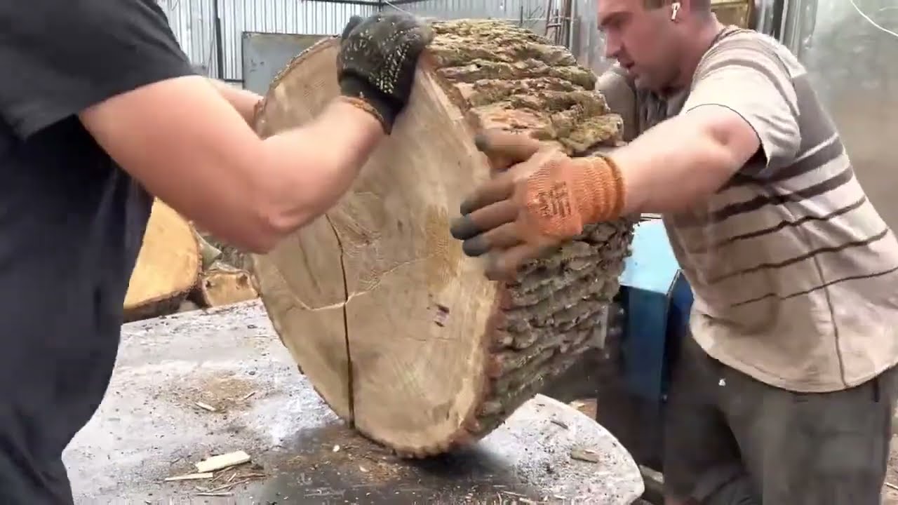 40 Minutes of Extreme Log Splitting | Massive Hardwood