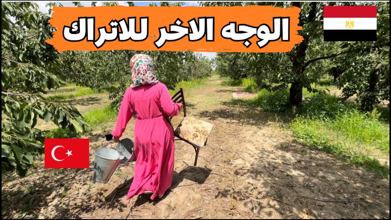 مصرية في حوار شيق مع تركيه الوجه الاخر للأتراك اللي الإعلام مش عايز يوريه للناس ‼️ مصرية وتركي