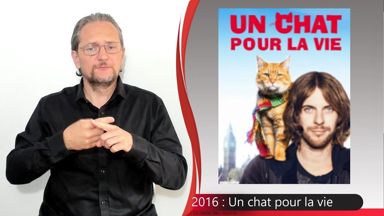 News : Cinéma et TV 400