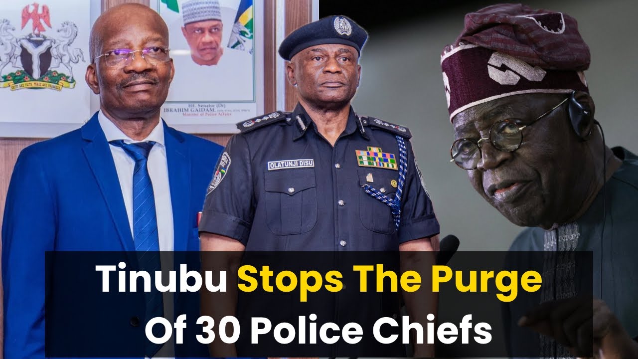 The Purge Tinubu Stopped: 30 DIGs And AIGs Gone In One Night