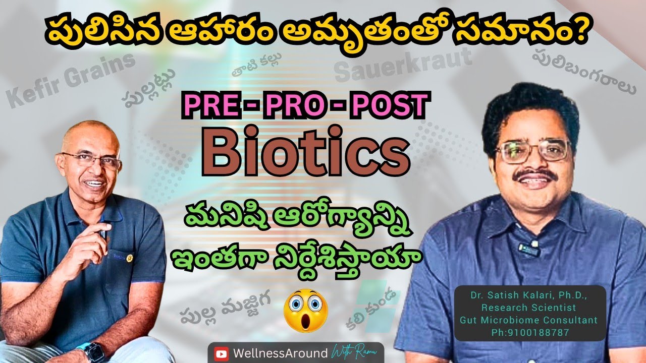 పులిసిన ఆహారం అమృతంతో సమానమా??
