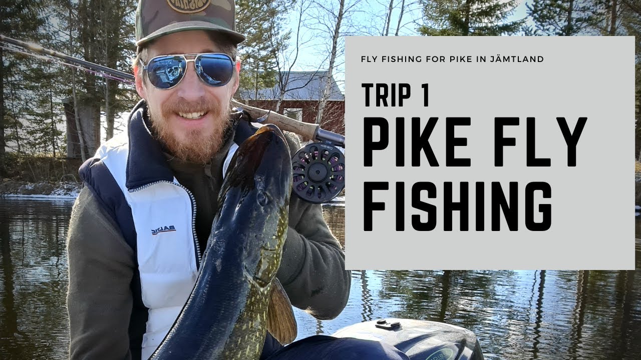 Pike Fly Fishing in J&auml;mtland First Trip of 2021