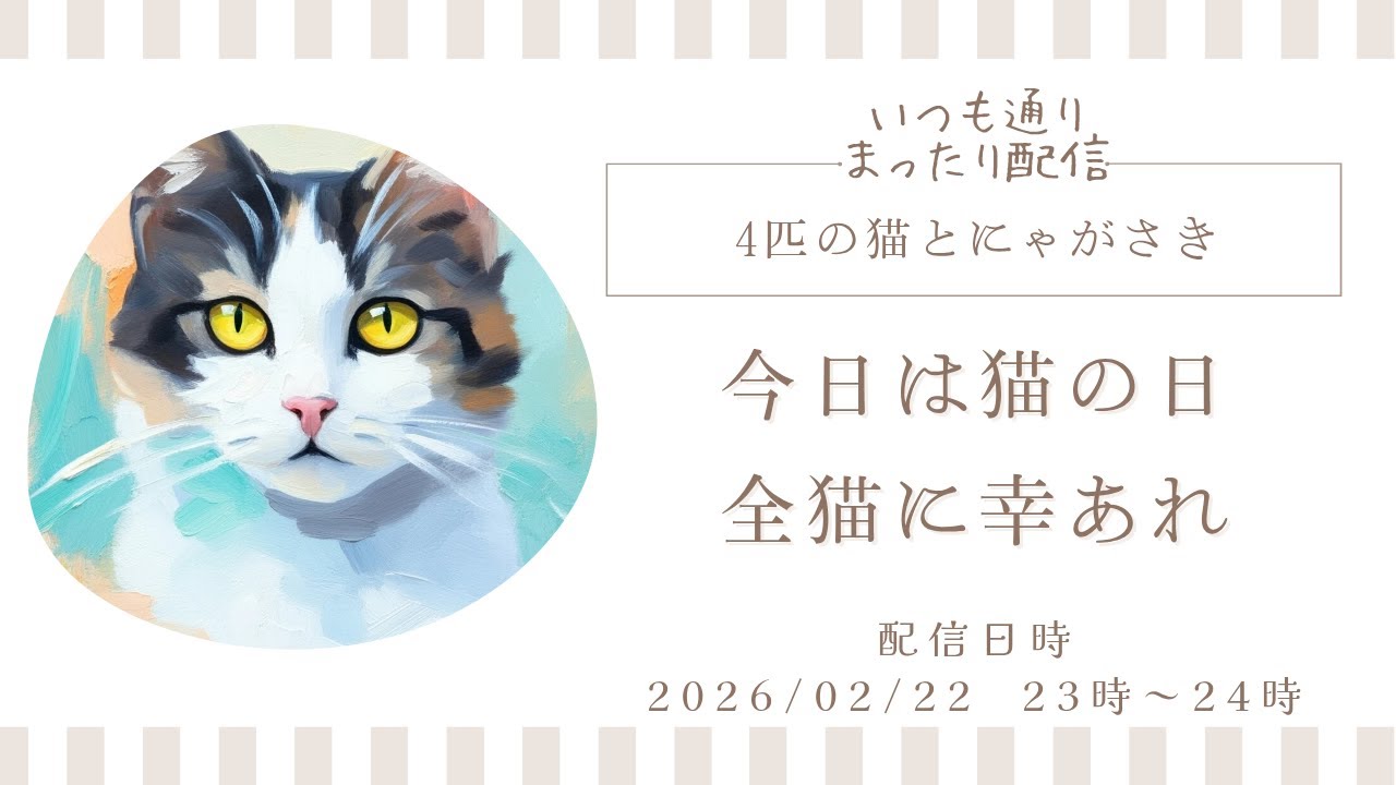 cat live stream😺猫の日の配信です(*ΦωΦ*)「４匹の猫とにゃがさき」