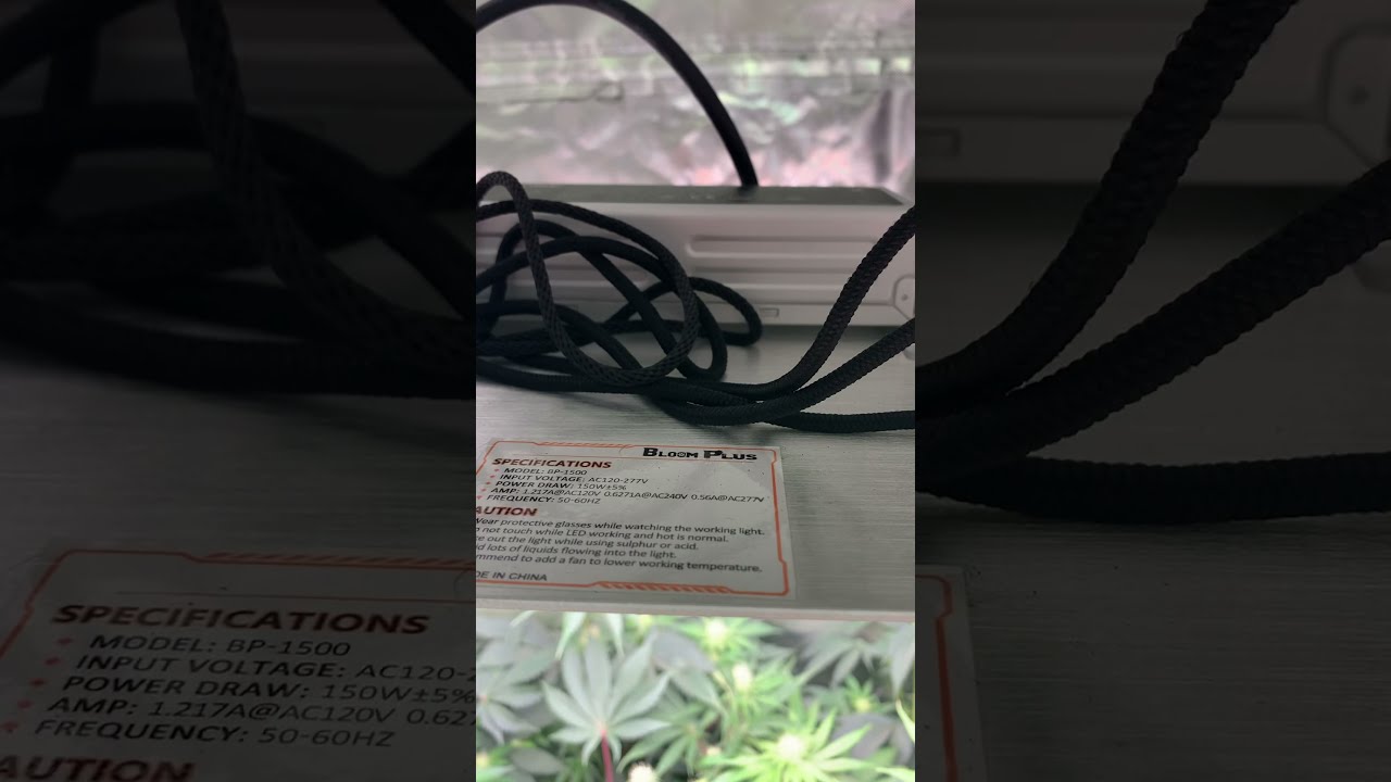 BP 1500 Grow series sponsored by Bloom Plus & Nuke Head Genetics
