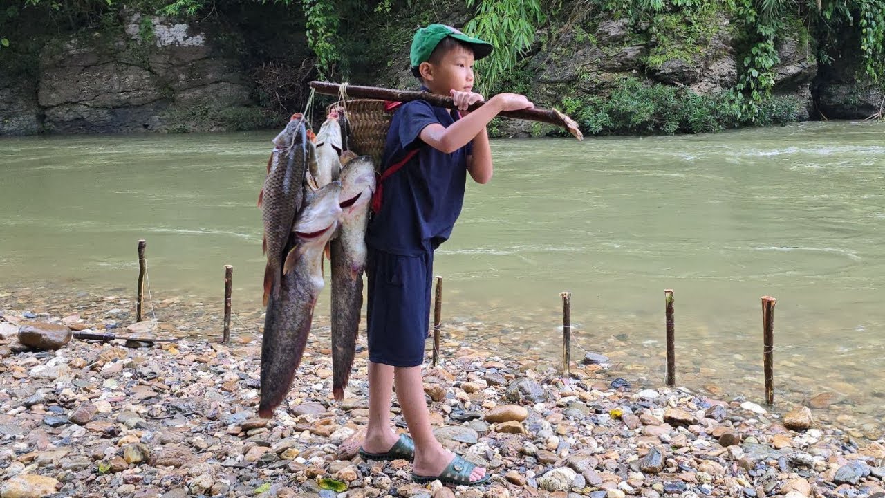 Fishing skills of orphan boy Nù, using pig liver to fish for flood season giant catfish for sale.