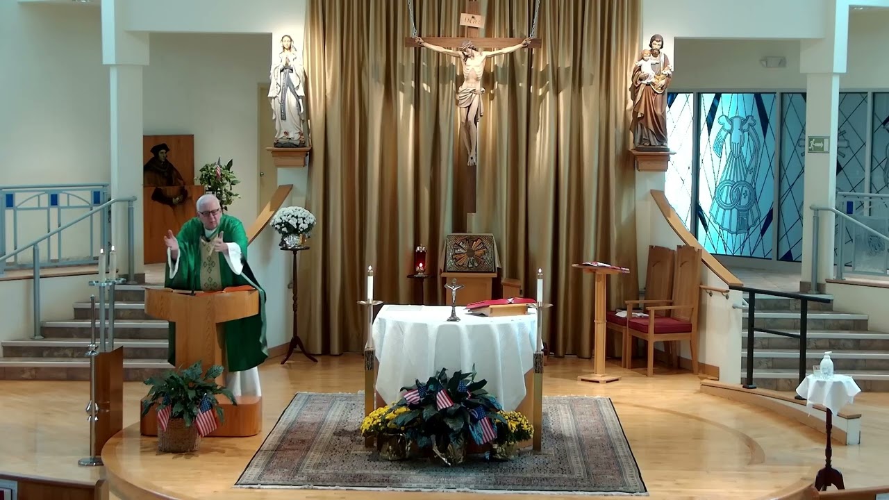 Homily for the 27th Sunday in Ordinary Time 