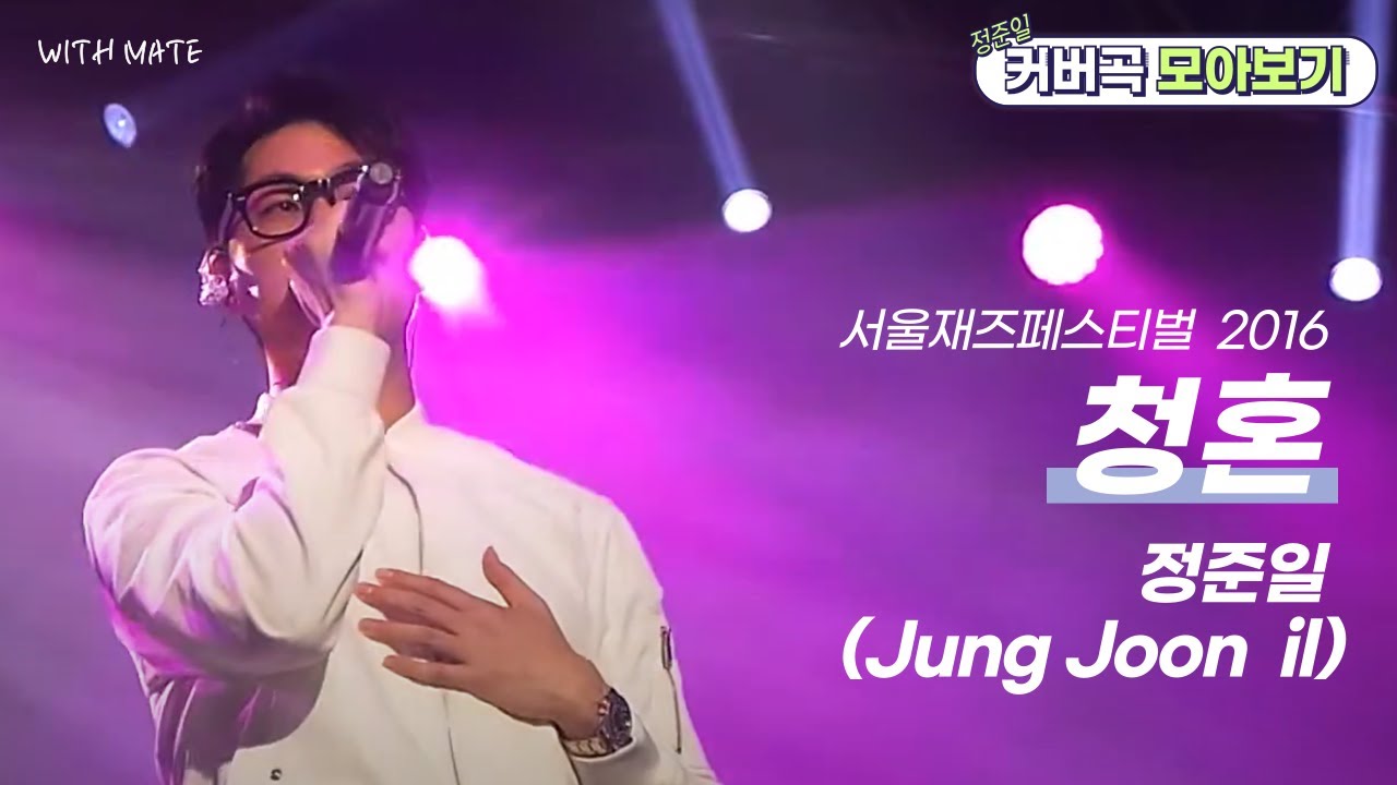 정준일 (Jung Joon il) 청혼 | 서울재즈페스티벌 SJF 2016