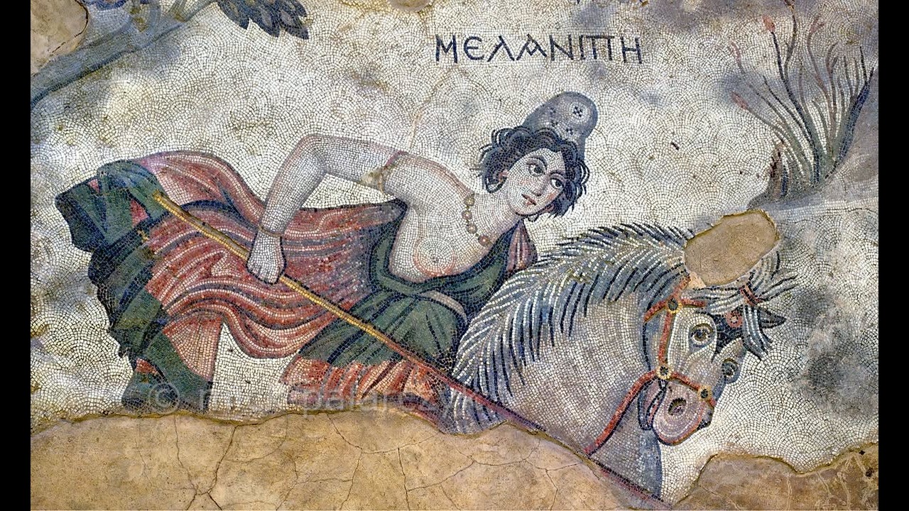 Le Amazzoni | Tra storia e mito