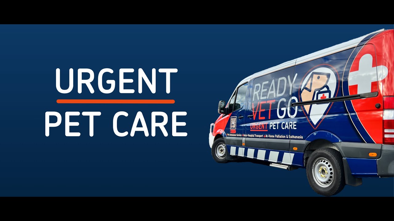 Ready Vet Go - Melbourne's New Mobile Vet Urgent Care & Pet Ambulance