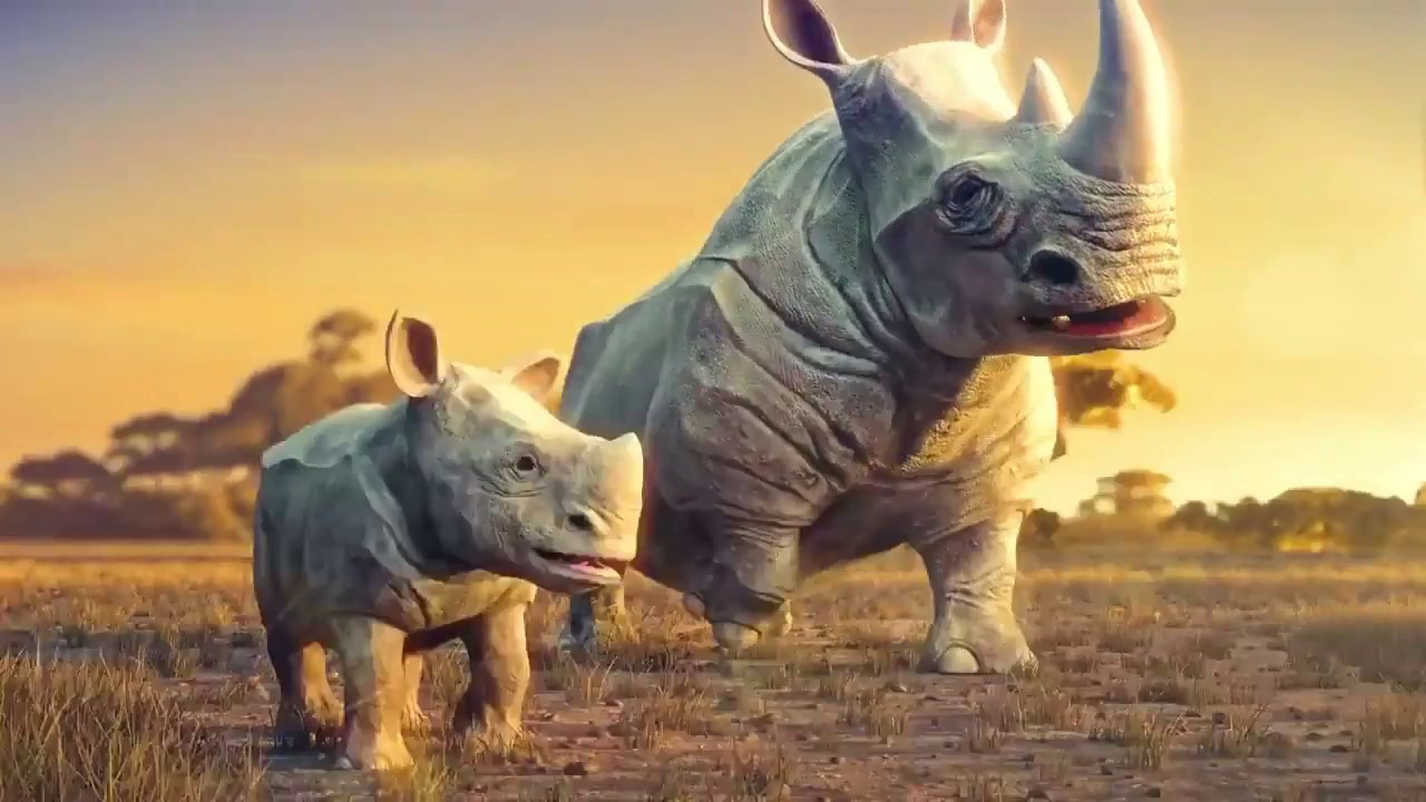 Cortometraje contra la violencia animal y contaminación ambiental (Sonorización)