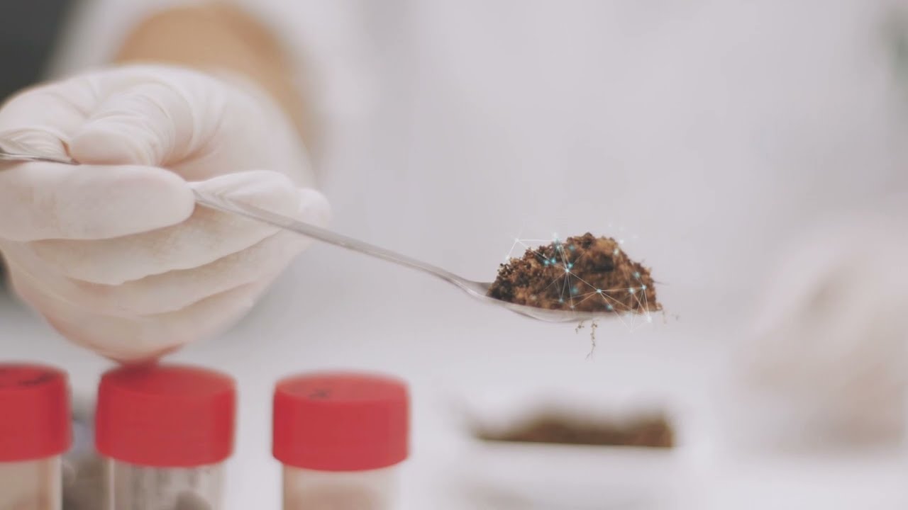 GENOMAAT: agricultura impulsada por microrganismos, por Futureco Bioscience