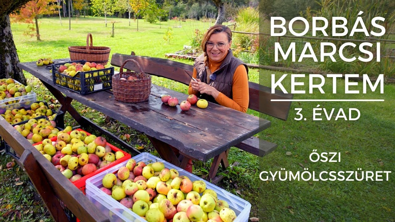 Borbás Marcsi - Kertem: Őszi gyümölcsszüret