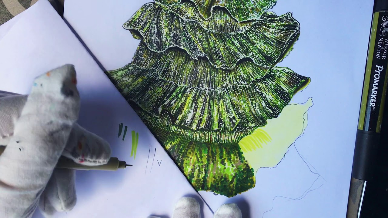 Valentino Spring Couture Green Dress Technique