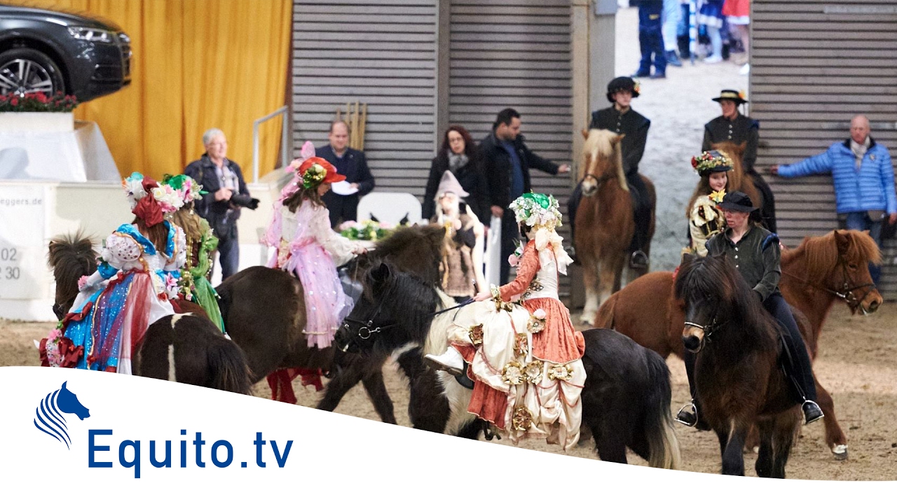 VER-Dinale 2017 – Showwettbewerb der Vereine: Reiterhof Wieckenberg