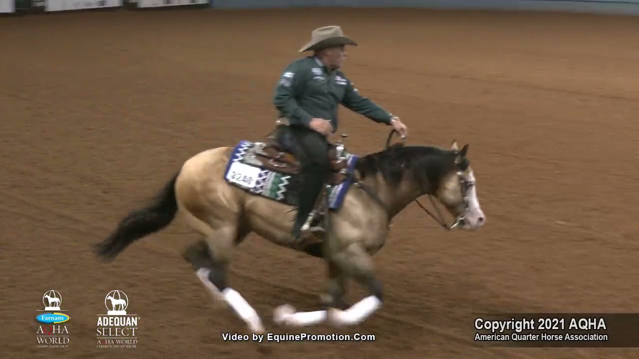 Spooks Gotta Spark & Shawn Flarida Win AQHA World Championship