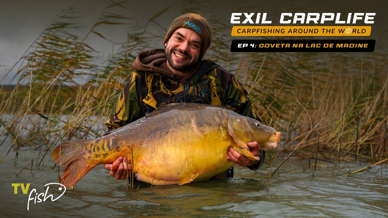 Brutální lysci z Lac de Madine | Exil Carplife | TV FISH CZ-SK | Lov kapra