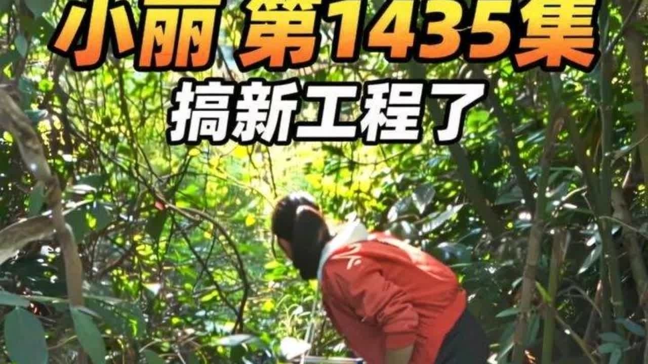 几天没建造，小丽又手痒难耐，开始搞新工程了 #隐居山林 #大山深处自然美 #独居女孩的生活 #野外建造 #亲近大自然的一天